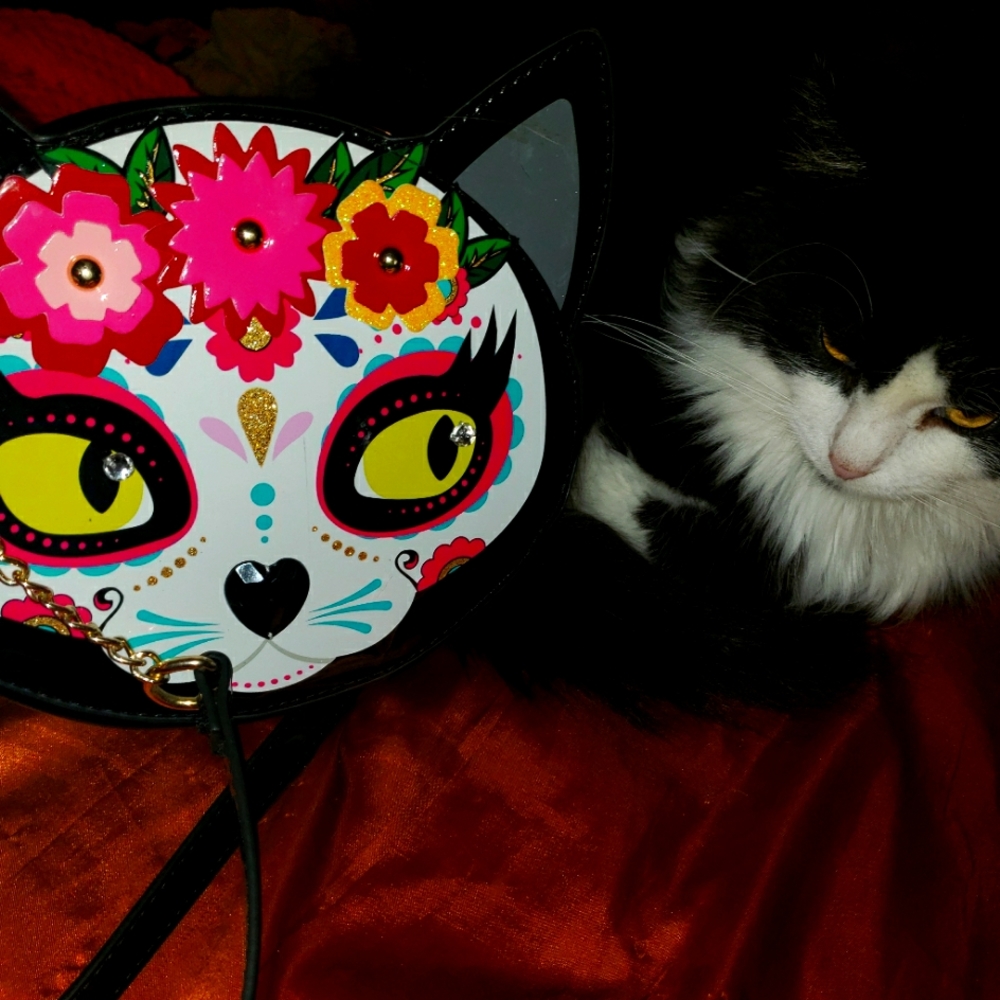 Betsey Johnson Kitsch Kitty Crossbody